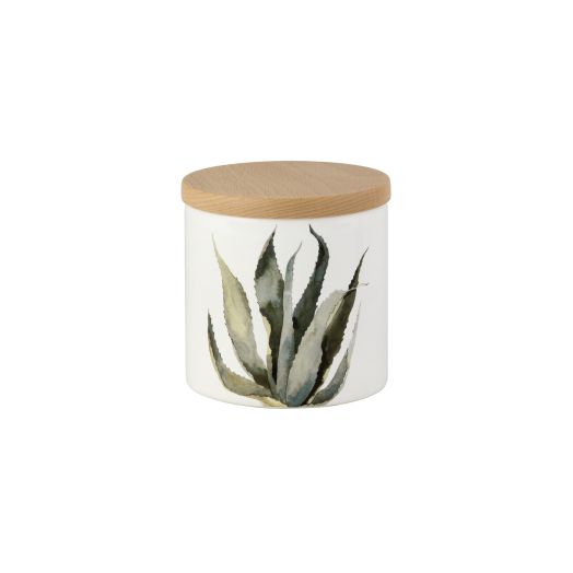 NUOVACER Cactus Medium Storage Jar 