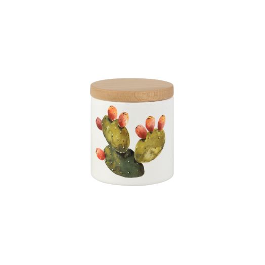 NUOVACER Cactus Small Storage Jar